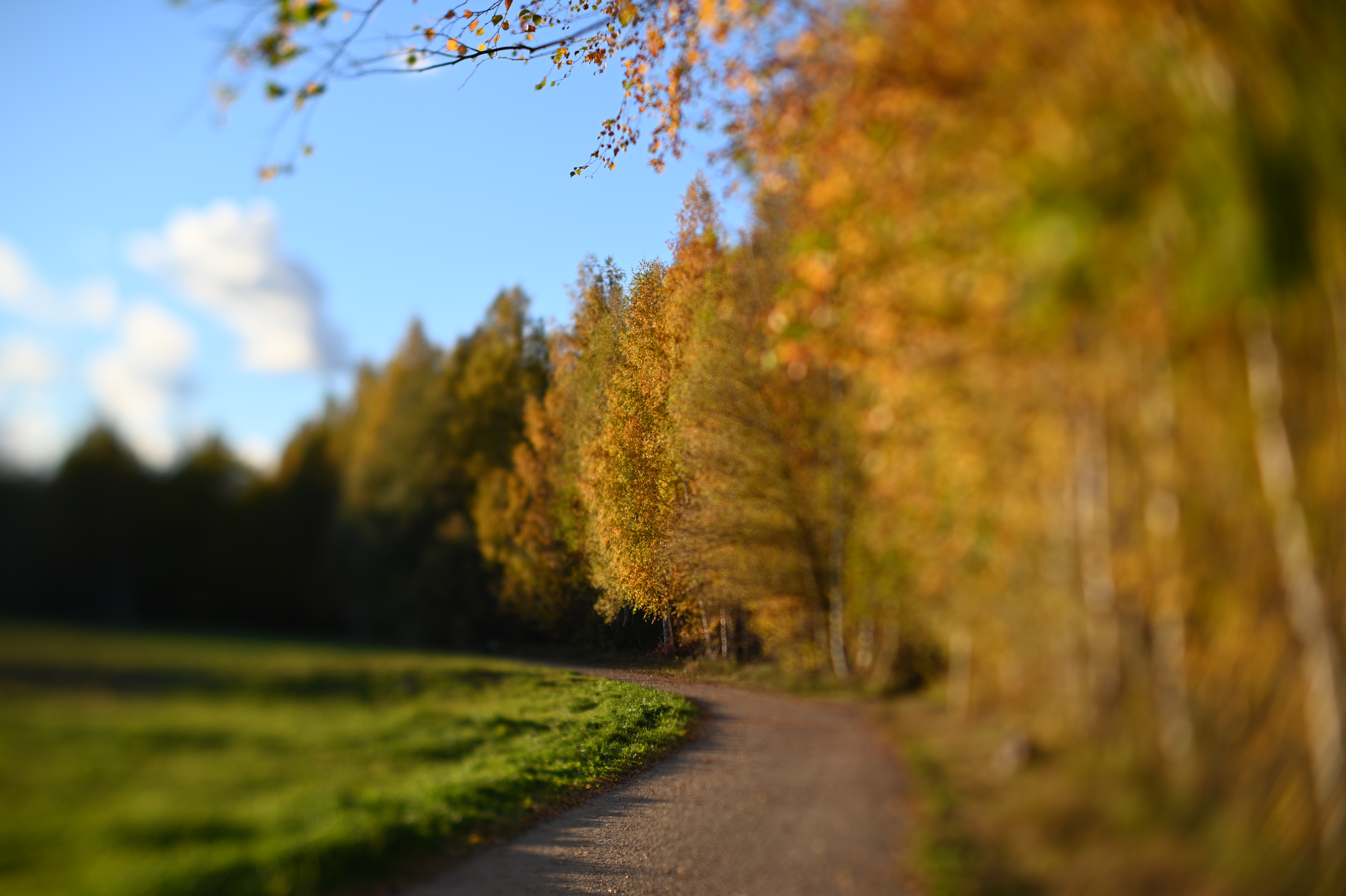 2025/10/18 - walk/DSC_0185.JPG